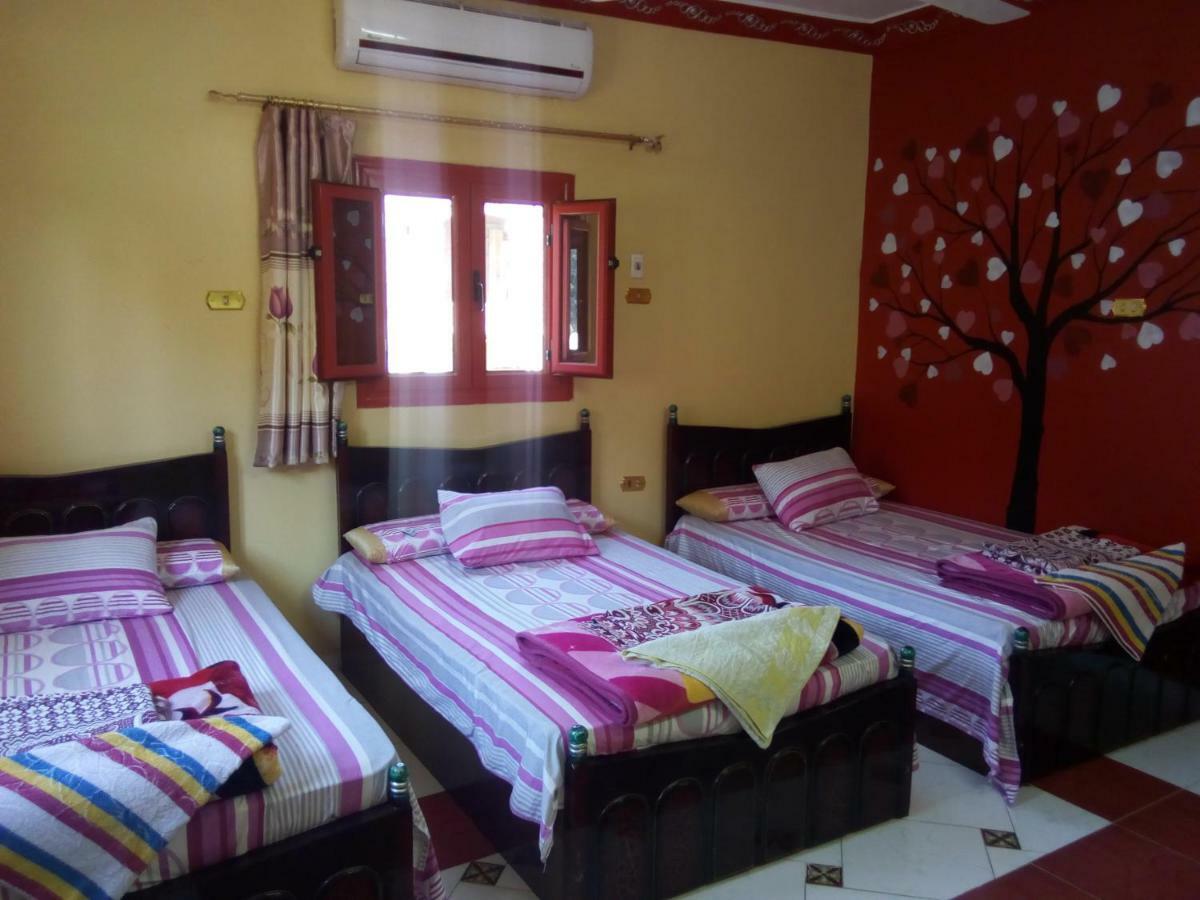 El-Amin Guest House Ασουάν Εξωτερικό φωτογραφία